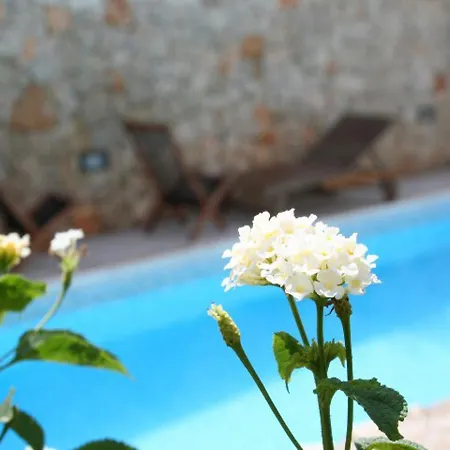 Apartment 2 With Pool And Sea View